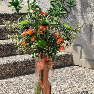 Bambu & Doğanın Zarafeti